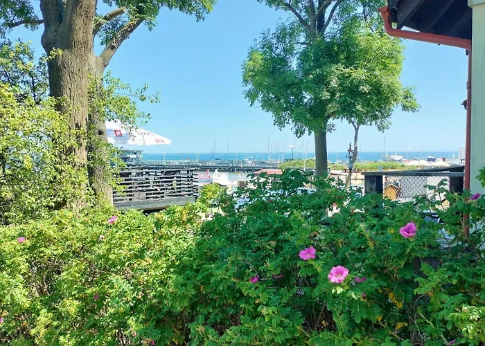 Great Polonia & Molo Puck